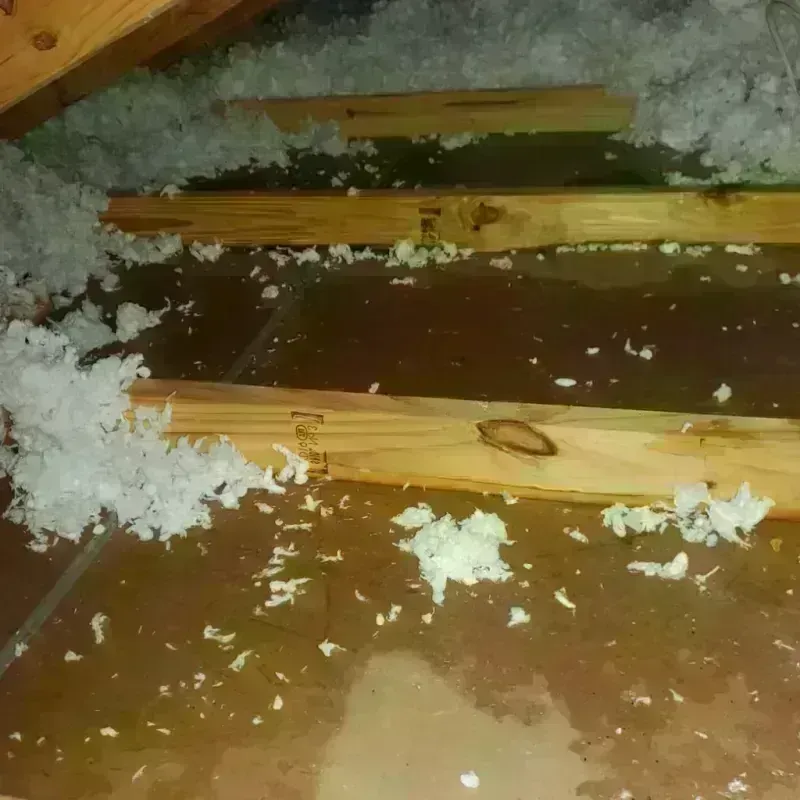 Attic Water Damage in Mammoth Lakes, CA