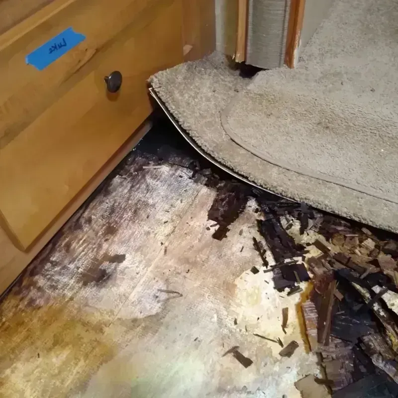 Wood Floor Water Damage in Mammoth Lakes, CA